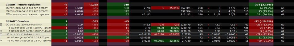 Future options Optionskonto don.JPG